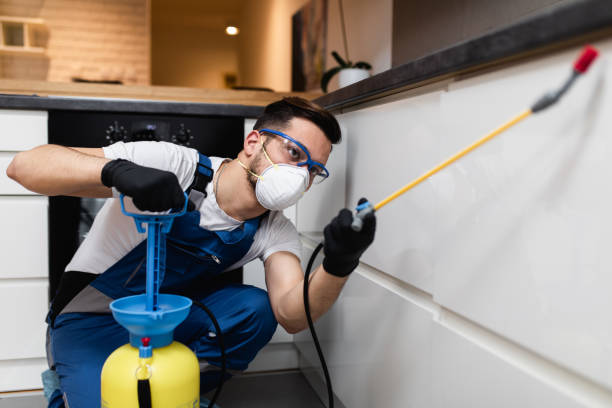Best Local Pest Control Services  in Dayton, NV
