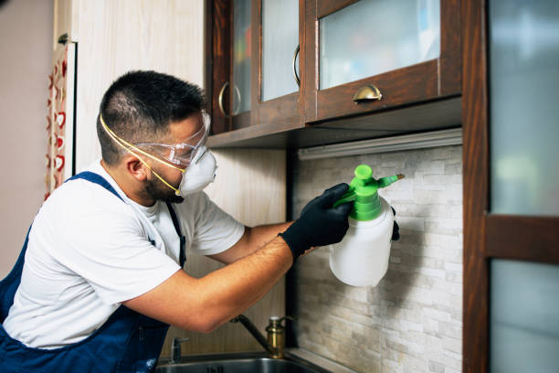 Best Residential Pest Control  in Dayton, NV