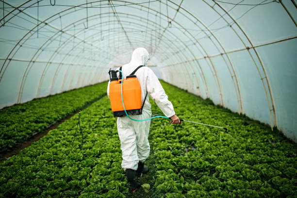 Best Affordable Pest Control Services  in Dayton, NV
