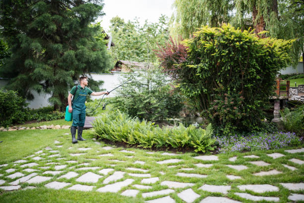 Best Best Pest Control Companies  in Dayton, NV