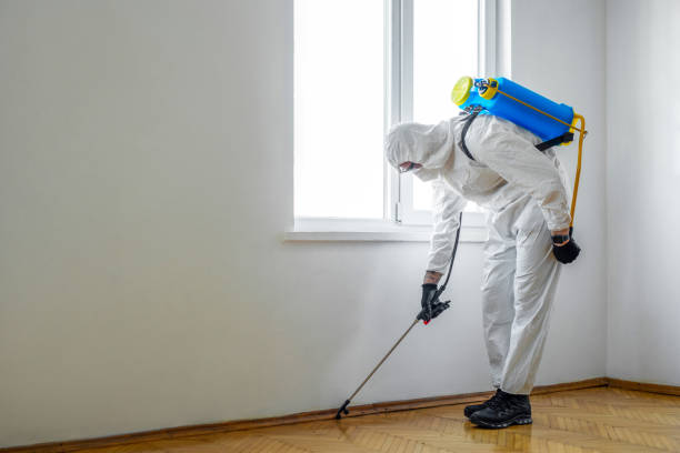 Best Wasp Removal Services  in Dayton, NV
