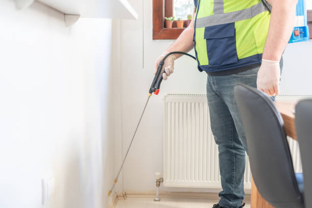 Best Termite Control Services  in Dayton, NV