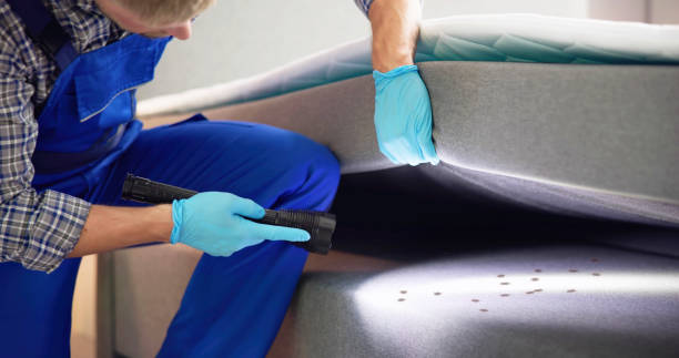 Reliable Dayton, NV Pest Control Solutions