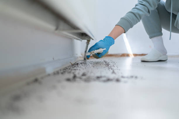 Best Pest Control for Homes  in Dayton, NV