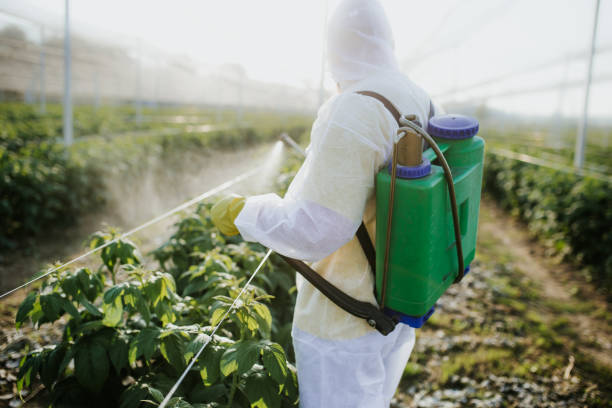 Best Ant Control Services  in Dayton, NV